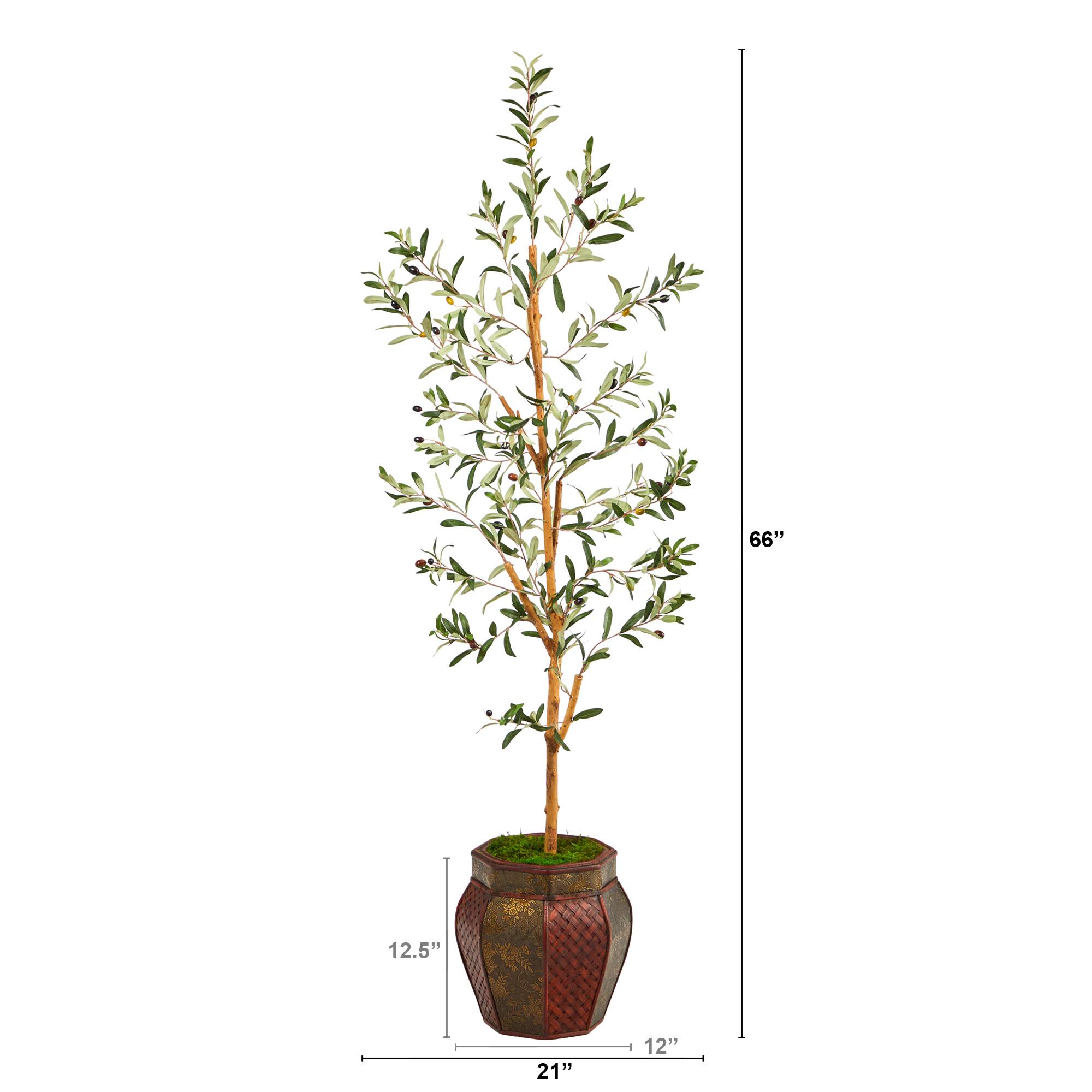 5.5ft. Olive Artificial Tree in Decorative Planter
